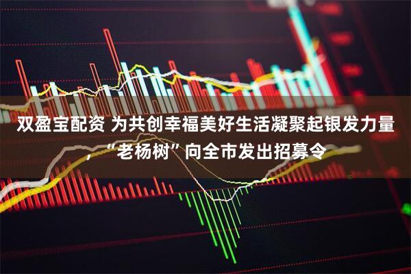 双盈宝配资 为共创幸福美好生活凝聚起银发力量，“老杨树”向全市发出招募令