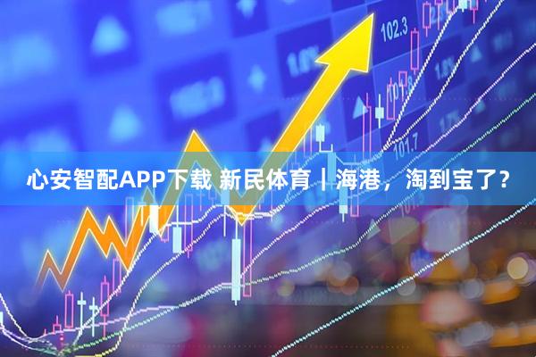 心安智配APP下载 新民体育|海港,淘到宝了?
